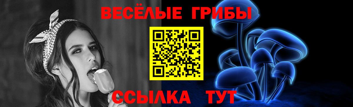 Псилоцибиновые грибы Psilocybe  Вход с VPN  Златоуст  Псилоцибиновые грибы Psilocybe 